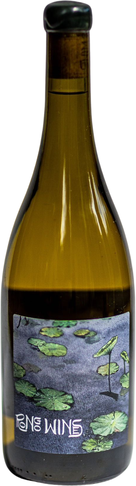 Rongo Wines Reflection Riesling 2022 Strathbogie Ranges